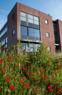 Wij werkten samen met dit grafisch ontwerp bureau in Leiden